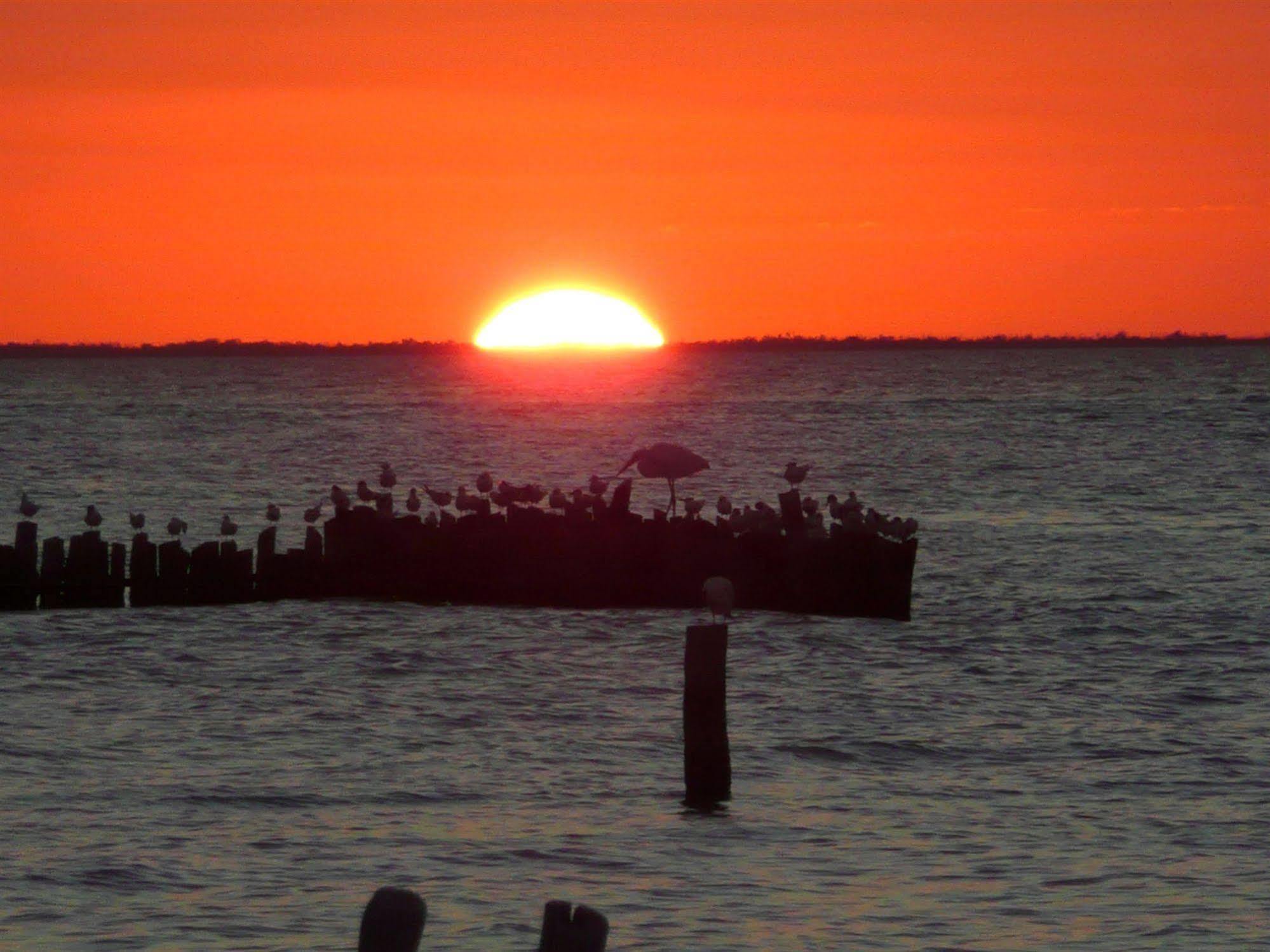 Hotel Golden Paradise Town Isola Holbox Esterno foto