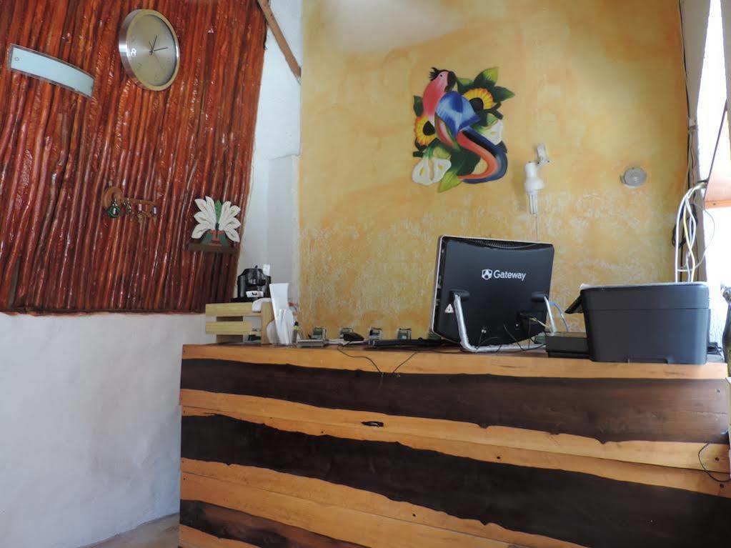 Hotel Golden Paradise Town Isola Holbox Esterno foto